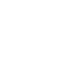 Celadon Books
